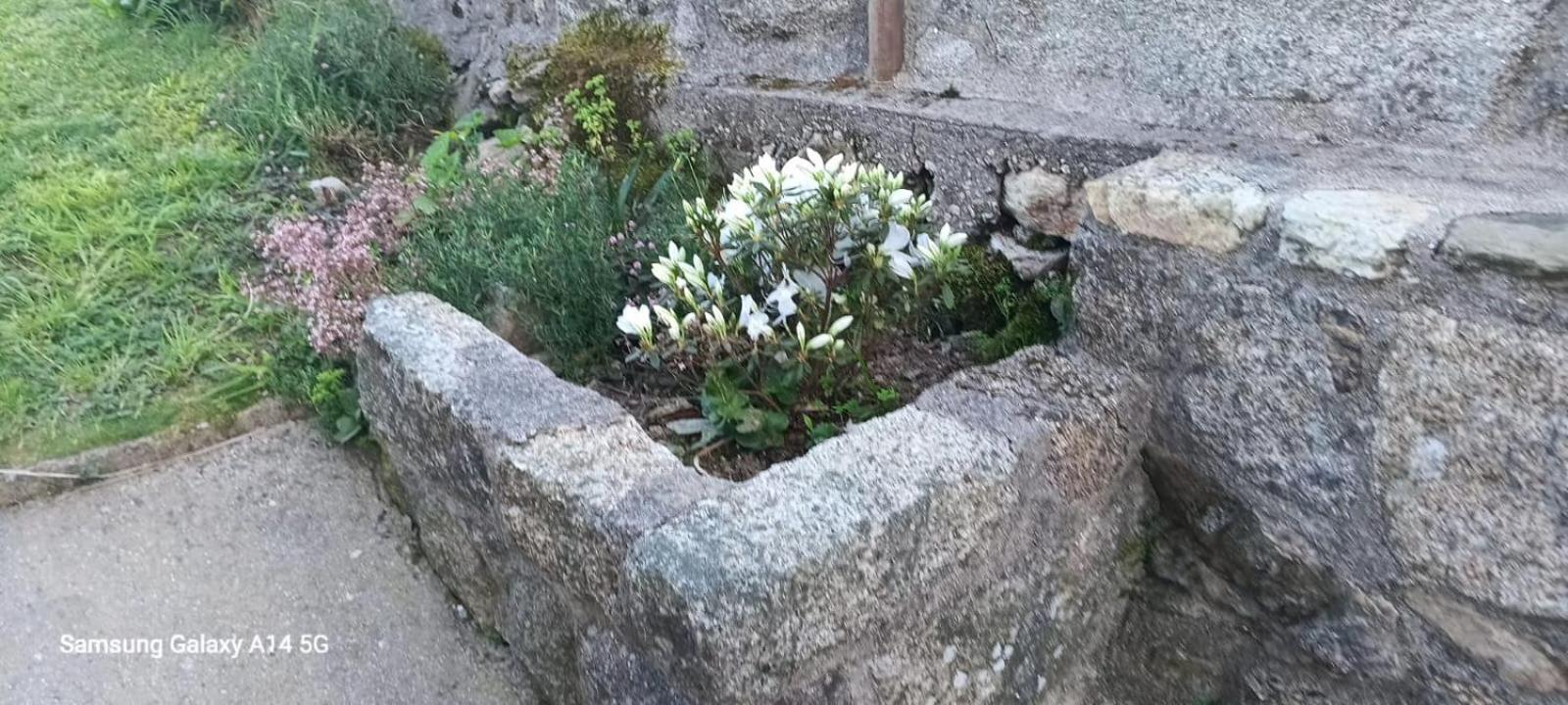 Casa Da Fonte Villa Pontevedra Rom bilde